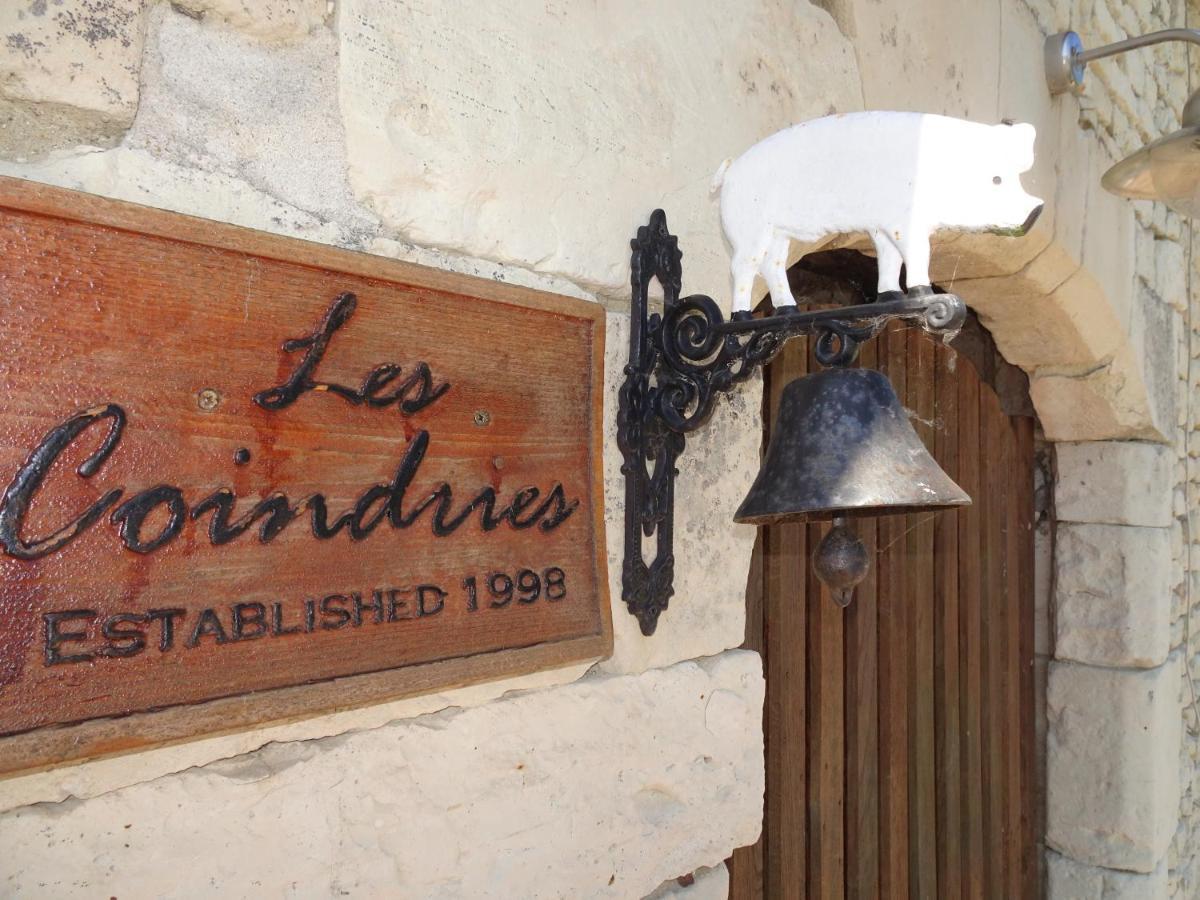 Villa Les Coindries Faye-la-Vineuse Exterior foto